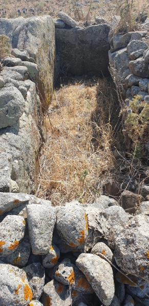 קובץ:2025-04-25T15 38 36.026736690859.jpg