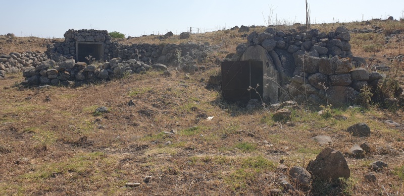 קובץ:2025-04-25T15 45 18.988459686388.jpg