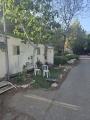 תמונה ממוזערת לגרסה מתאריך 14:38, 25 באפריל 2025