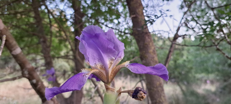 קובץ:2025-04-25T19 07 32.859132311288.jpg