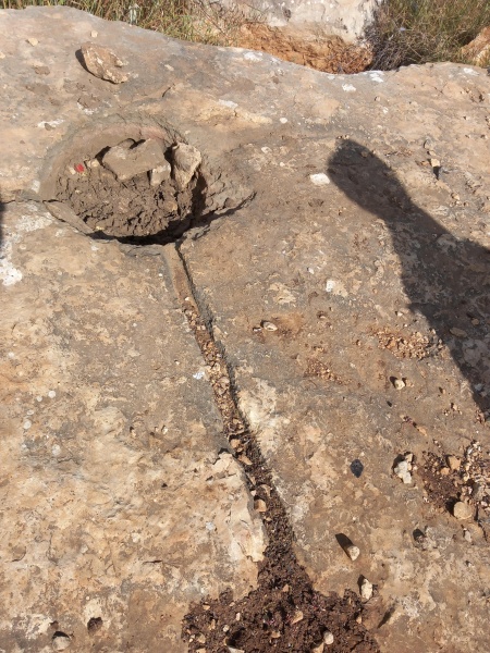 קובץ:2025-04-26T09 18 04.723214437187.jpg