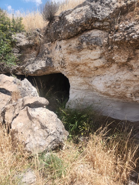קובץ:2025-04-26T12 23 52.672789457588.jpg