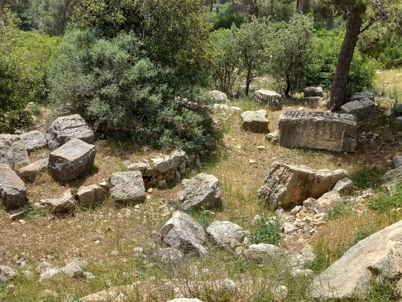קובץ:2025-04-26T12 39 50.920170556661.jpg