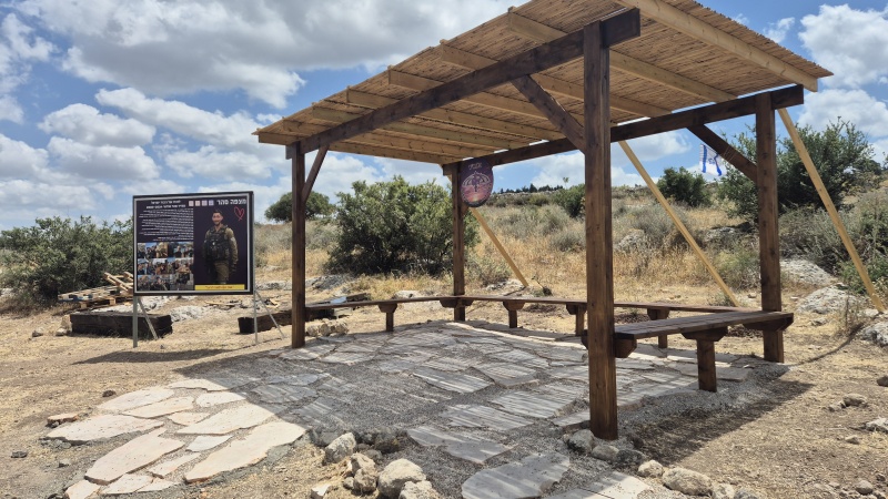 קובץ:2025-04-26T12 43 13.982432312696.jpg
