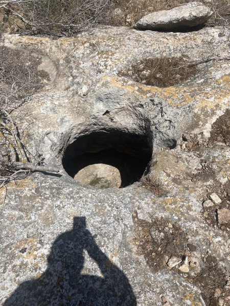 קובץ:2025-04-26T13 09 52.630390398069.jpg