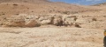 תמונה ממוזערת לגרסה מתאריך 03:54, 3 במאי 2025