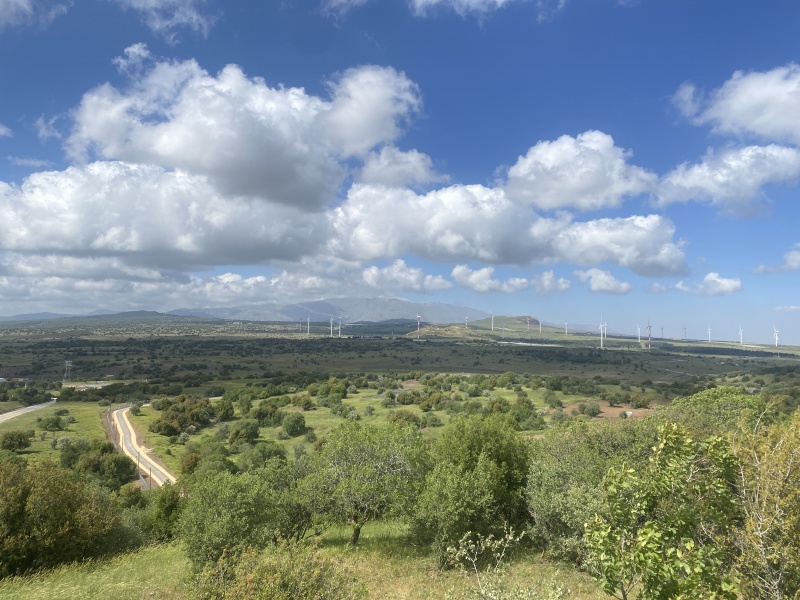 קובץ:2025-04-26T15 15 57.747816317853.jpg