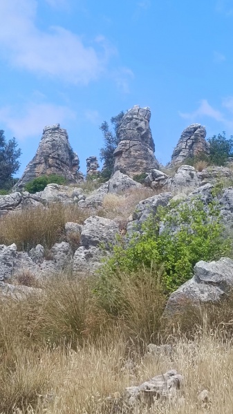 קובץ:2025-04-27T11 39 52.282705886743.jpg