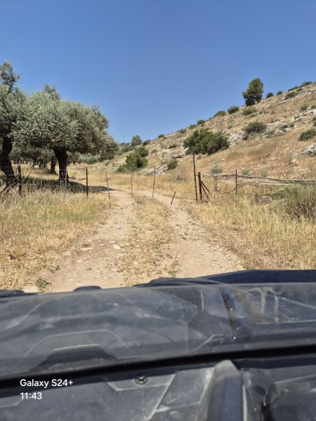 קובץ:2025-04-27T11 43 18.232944333155.jpg