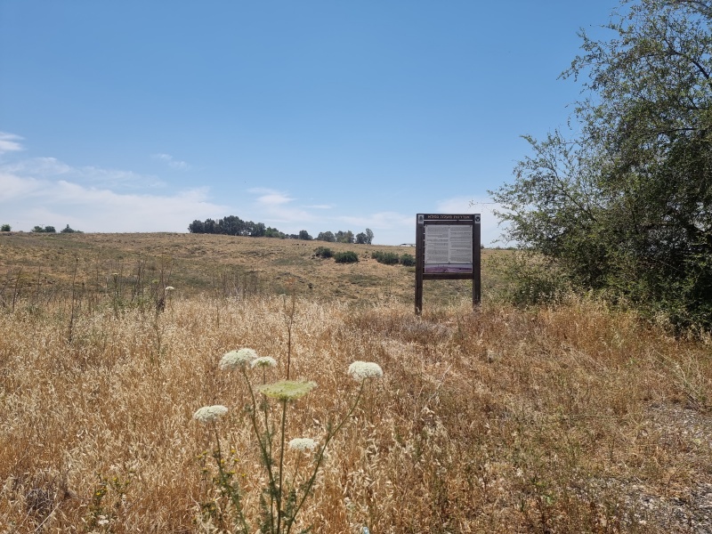 קובץ:2025-04-27T12 55 06.191273755789.jpg
