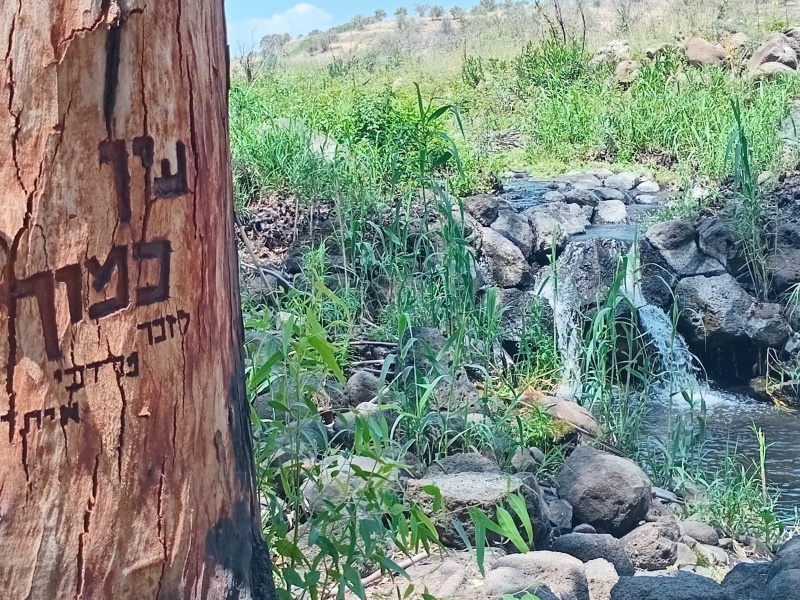 קובץ:2025-04-27T19 14 56.685990270195.jpg