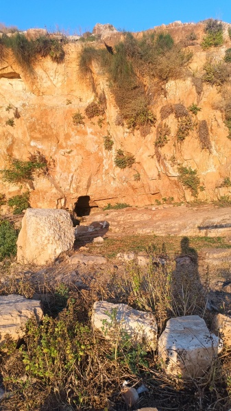 קובץ:2025-04-28T06 26 26.422938961099.jpg