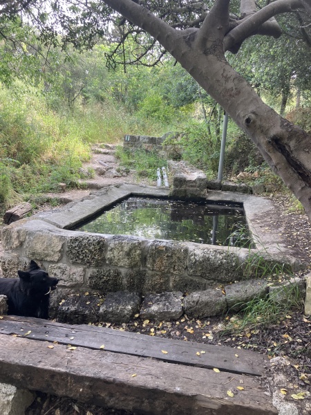 קובץ:2025-04-28T09 06 41.202492175356.jpg