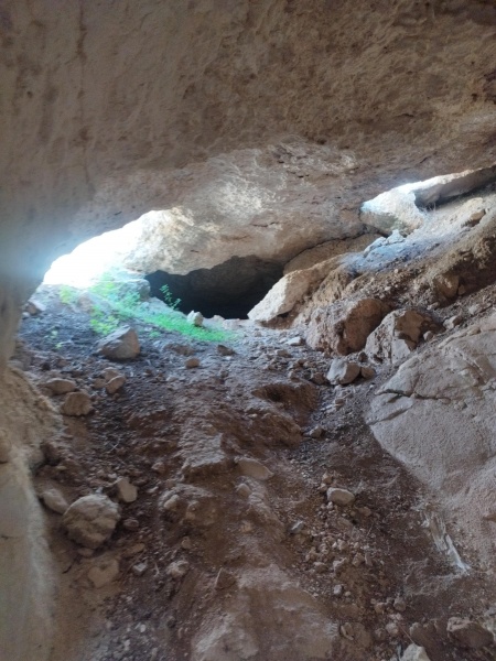 קובץ:2025-04-28T10 26 52.185100797564.jpg