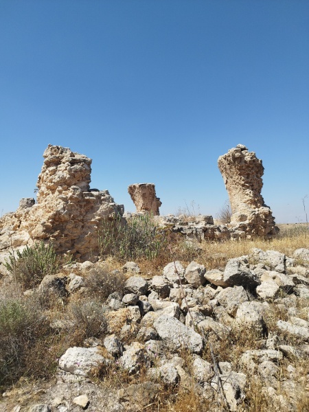 קובץ:2025-04-28T11 05 58.649660554774.jpg