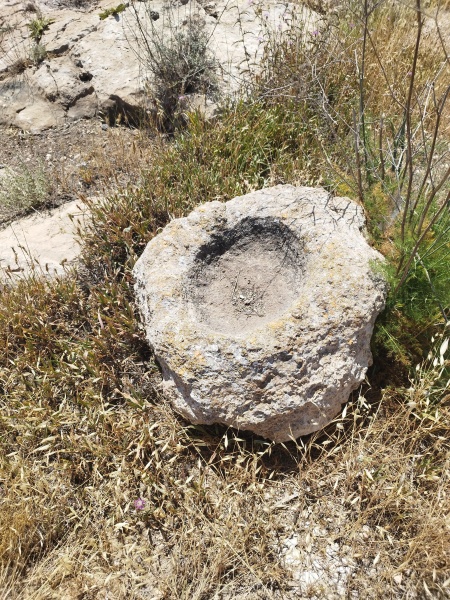 קובץ:2025-04-28T11 13 47.067406993752.jpg