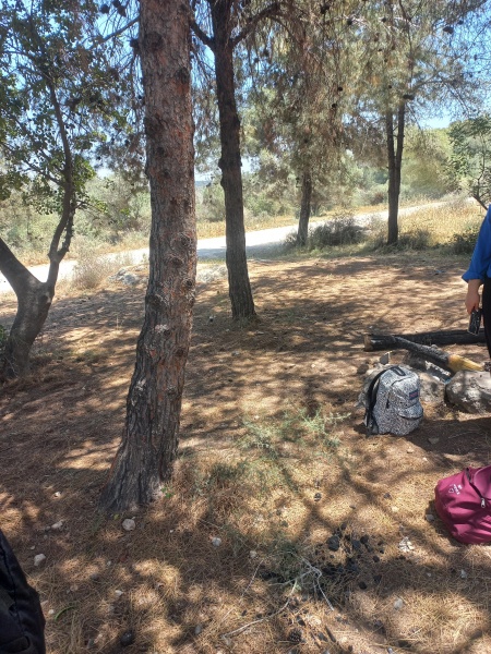 קובץ:2025-04-28T12 12 00.465937249404.jpg