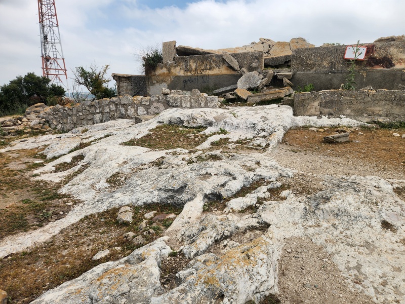 קובץ:2025-04-28T12 21 51.643623854416.jpg