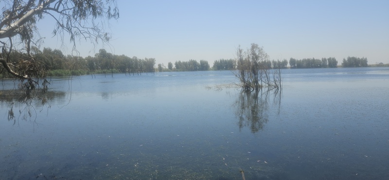 קובץ:2025-04-28T12 39 52.669811834977.jpg