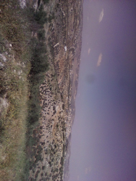 קובץ:2025-04-28T14 22 37.057048104931.jpg