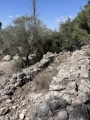 תמונה ממוזערת לגרסה מתאריך 07:11, 29 באפריל 2025