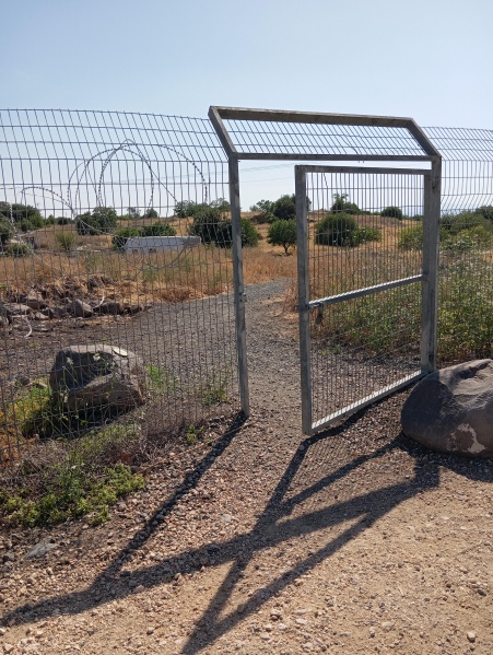 קובץ:2025-04-29T15 51 49.88796684842.jpg