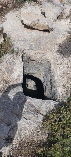 קובץ:2025-05-01T10 55 30.564081983668.jpg