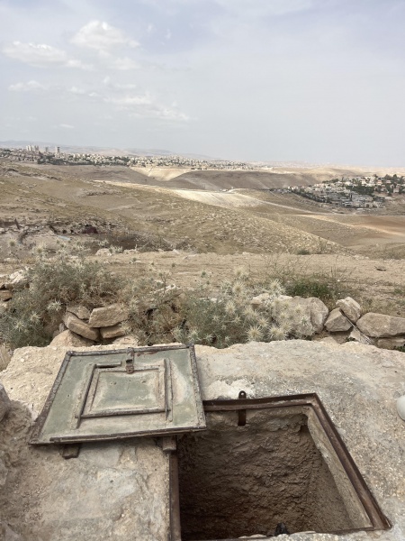 קובץ:2025-05-01T14 07 13.647443848886.jpg