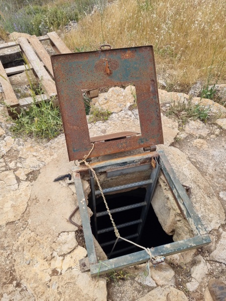 קובץ:2025-05-01T14 07 38.65840088860.jpg