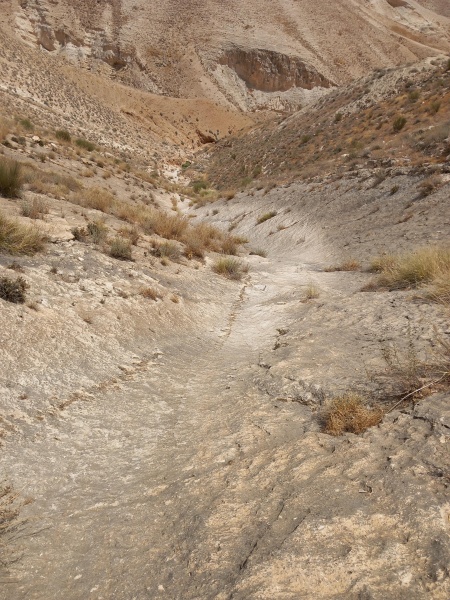 קובץ:2025-05-01T19 33 18.428608867560.jpg