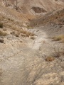 תמונה ממוזערת לגרסה מתאריך 16:14, 1 במאי 2025