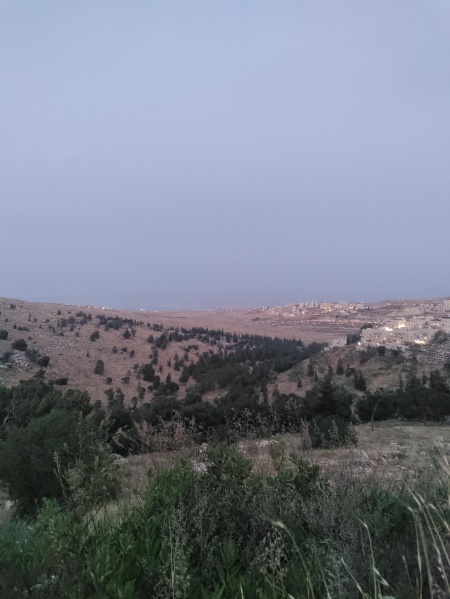 קובץ:2025-05-01T19 36 15.265740609397.jpg