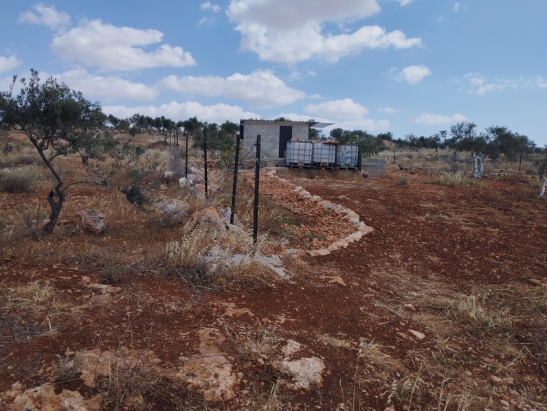 קובץ:2025-05-02T10 15 40.317044450359.jpg