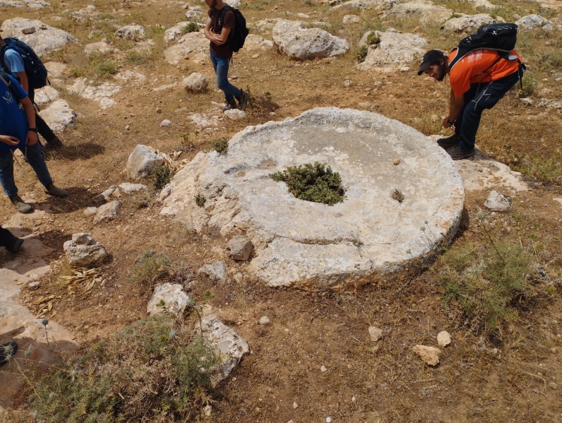 קובץ:2025-05-02T11 40 40.054701728285.jpg