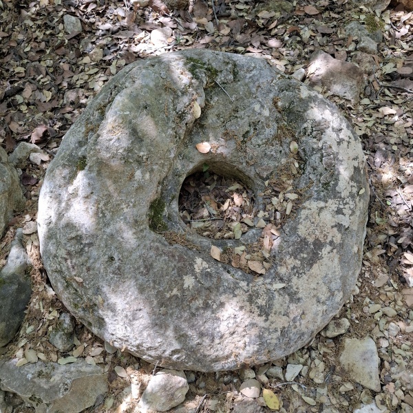קובץ:2025-05-02T12 34 12.691953814036.jpg