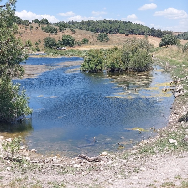 קובץ:2025-05-02T13 13 43.213915460494.jpg