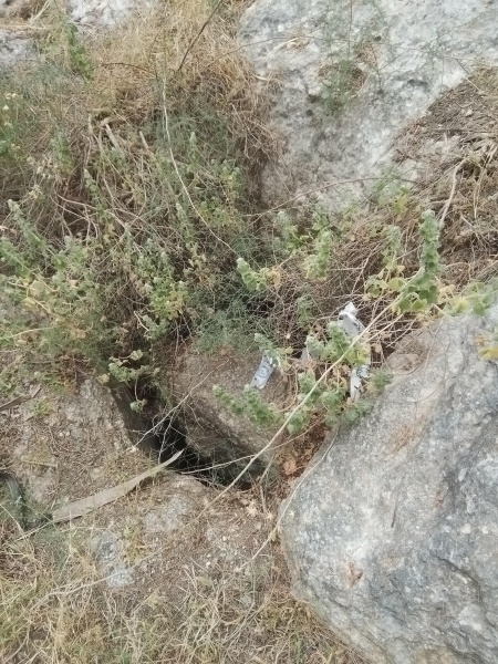 קובץ:2025-05-02T14 46 15.984477119990.jpg