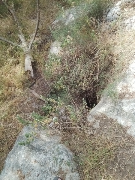קובץ:2025-05-02T14 48 05.969596122421.jpg