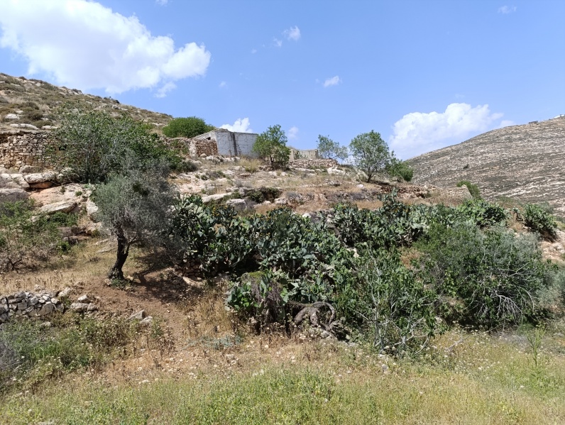 קובץ:2025-05-02T15 06 15.666665415964.jpg