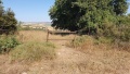 תמונה ממוזערת לגרסה מתאריך 07:53, 6 במאי 2025