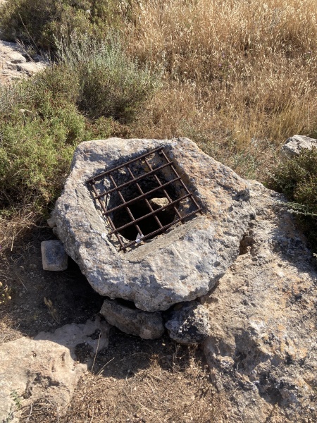 קובץ:2025-05-02T16 56 19.315443242778.jpg