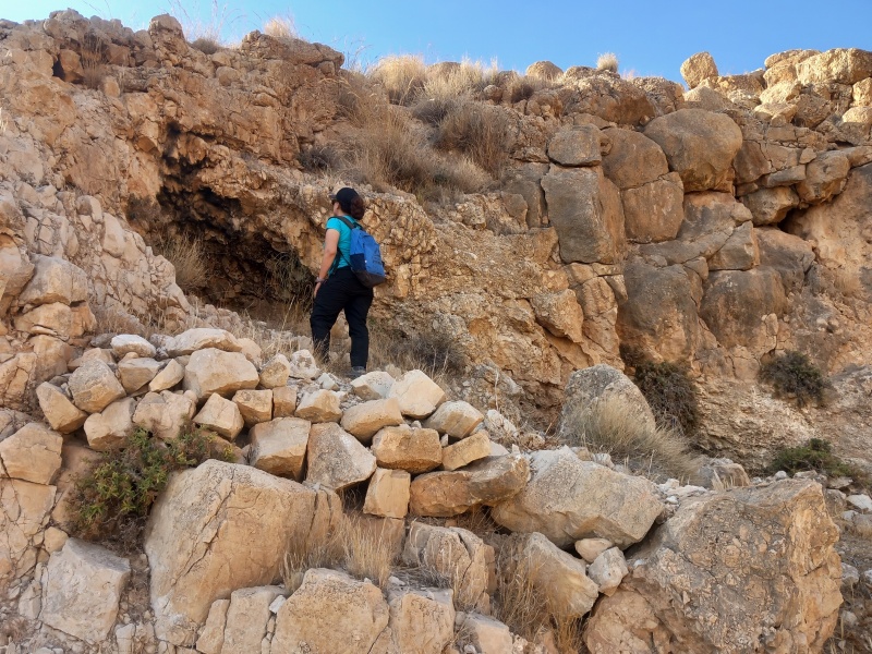קובץ:2025-05-02T17 09 25.432935984174.jpg