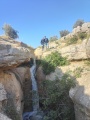 תמונה ממוזערת לגרסה מתאריך 15:50, 2 במאי 2025