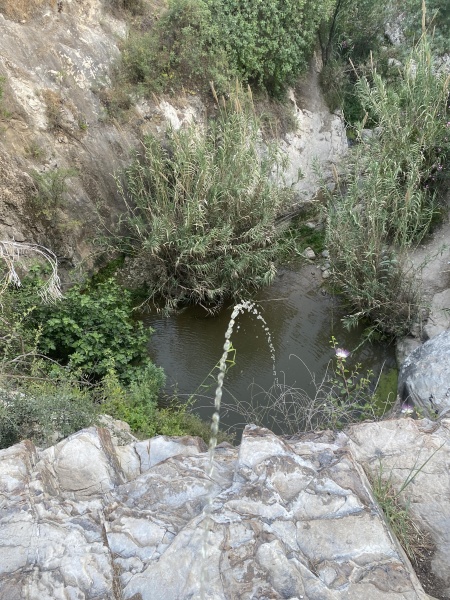 קובץ:2025-05-02T18 10 13.399488900.jpg