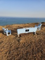 תמונה ממוזערת לגרסה מתאריך 06:30, 4 במאי 2025