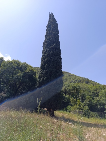 קובץ:2025-05-03T11 00 10.431373580091.jpg
