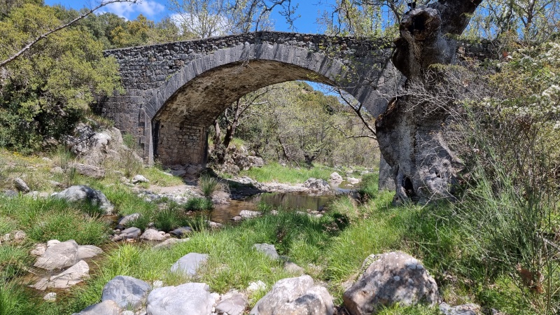 קובץ:2025-05-03T12 27 51.333480513370.jpg