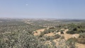 תמונה ממוזערת לגרסה מתאריך 10:23, 3 במאי 2025