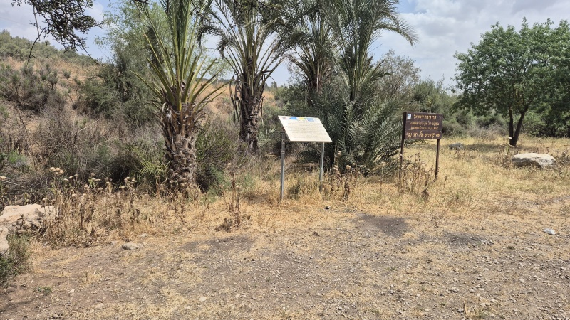 קובץ:2025-05-03T14 36 11.784472535601.jpg