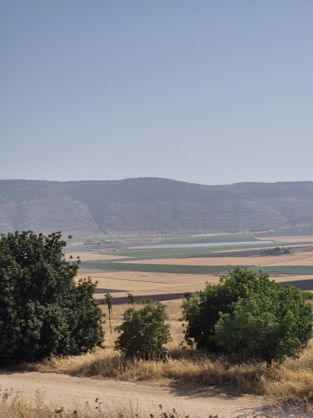 קובץ:2025-05-03T16 04 53.909211279693.jpg